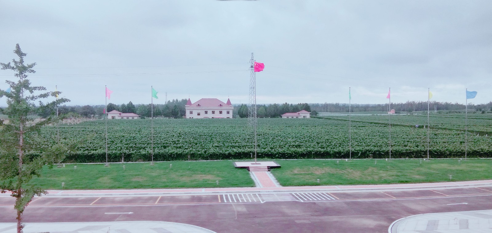 15712831788358.jpg 微信圖片_20190722143235.jpg