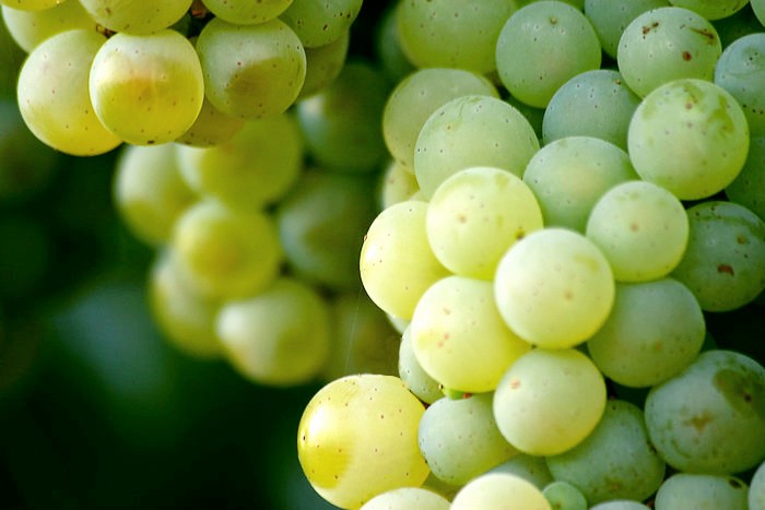 16296793188342.jpg 173.jpg