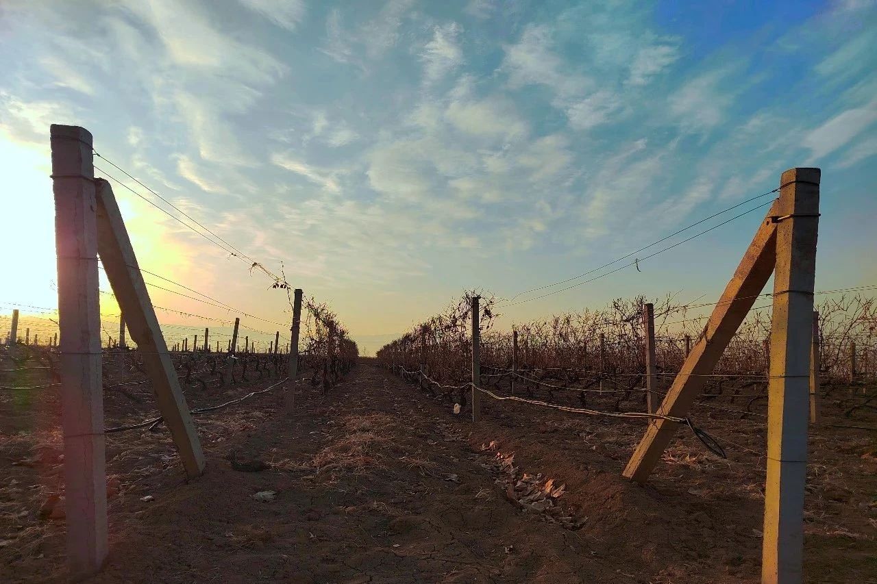 17114236864579.jpg 6f43ee10c97cf9416b23f1b21c9d352c.jpg